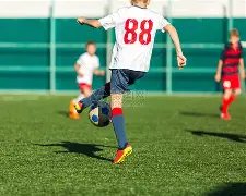 许光汉直言,愿做富豪家,的宠物犬,万博体育平台,万博体育官方网站,万博体育登录入口,万博体育app下载