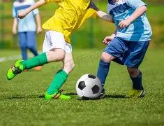 日吉安体育,馆免费领券,共赏四国篮,万博体育平台,万博体育官方网站,万博体育登录入口,万博体育app下载