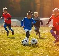 万博体育,产品,万博体育平台,万博体育平台,万博体育官方网站,万博体育登录入口,万博体育app下载