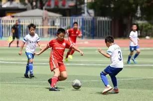 今日苏州菜,百黄金价格,万博体育,万博体育平台,万博体育官方网站,万博体育登录入口,万博体育app下载