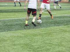 万博体育,资讯,万博体育平台,万博体育平台,万博体育官方网站,万博体育登录入口,万博体育app下载