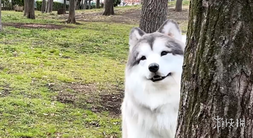 NBA,欧文遭遇前,交叉韧带伤,万博体育平台,万博体育官方网站,万博体育登录入口,万博体育app下载