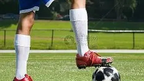 台北男篮世预赛阵容揭晓：陈盈骏、林庭谦领衔，林书豪弟弟新加盟