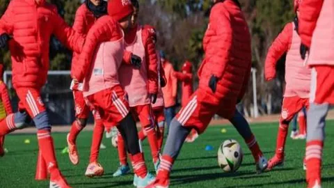 山东高速在CBA常规赛力克广州朗肽海本